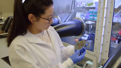 Alamy We shouldn't be surprised if more compounds found in food make their way into solar cells in future, as they are often organic compounds with useful properties (Credit: Alamy)