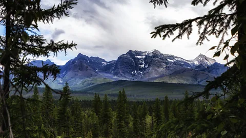 Skip Nall/Getty Images Polebridge sits at the north-western entrance of Glacier National Park and counts many more grizzly bears than people (Credit: Skip Nall/Getty Images)