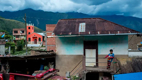 Jordi Busqué Mururata is surrounded by the Yungas' steep hills and filled with dense ferns and tropical trees (Credit: Jordi Busqué)