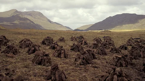 Getty Images Peat has historically played an important role in Ireland's energy, but this carbon-intensive fuel is now being phased out (Credit: Getty Images)