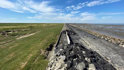 Hendrik Brunckhorst/LKN.SH As part of ongoing trials, openings have been cut into the defences of the island of Nordstrandischmoor to allow water and sediment to wash in (Credit: Hendrik Brunckhorst/LKN.SH)