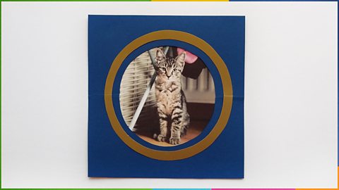 A round border framing a photo of a cat