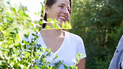 Catspring Yaupon After discovering a row of yaupon bushes on her family farm, Falla began roasting her first batches of its nutty, buttery tea (Credit: Catspring Yaupon)