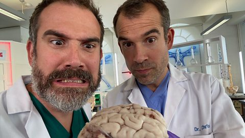 Cbbc Schedules Friday 2 April 21