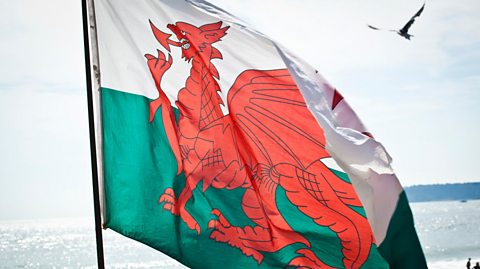 Quiz: St David's Day