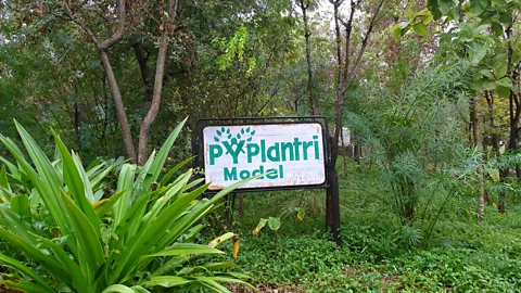 Bhavya Dore The small community of Piplantri has become an model for environmentalism and feminism (Credit: Bhavya Dore)