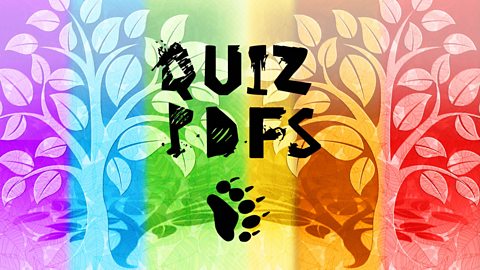 Caterpillar Level: Insects