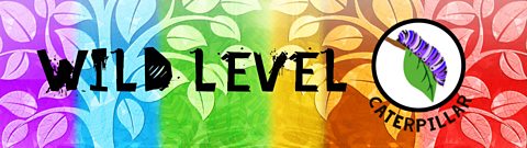 Level 1: Caterpillar
