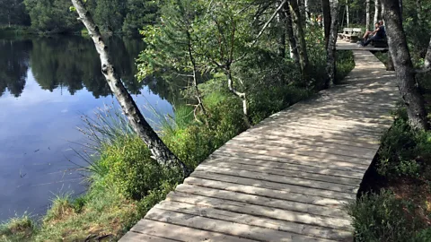 Mike MacEacheran Mindfulness forest paths have been created across Germany where visitors can interact with the woodlands (Credit: Mike MacEacheran)
