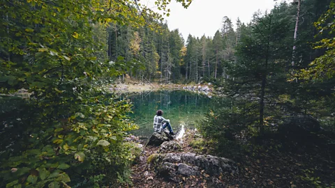 Marco Bottigelli/Getty Images Waldeinsamkeit is an archaic German term for the feeling of "forest loneliness" (Credit: Marco Bottigelli/Getty Images)