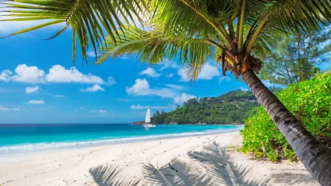 Lucky Photographer/Getty Images Ackee and saltfish is as synonymous with Jamaica as the island's picture-perfect beaches (Credit: Lucky Photographer/Getty Images)