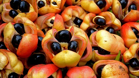 Neil Bowman/Getty Images Ackee was brought to Jamaica from West Africa in the 18th Century, most likely on a slave ship (Credit: Neil Bowman/Getty Images)