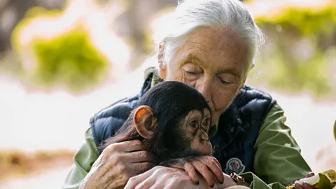 Sumy Sadurni/Getty Images For decades, Goodall has maintained that all living creatures depend on one another for our existence (Credit: Sumy Sadurni/Getty Images)