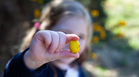 A child holding up a small chocolate egg