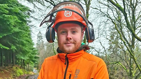 Secrets of a forestry craftsperson