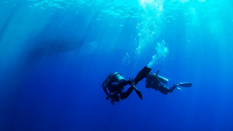 MikaelEriksson/Getting Images Divers can see leaf sheep more easily when exploring with a local dive guide (Credit: MikaelEriksson/Getting Images)