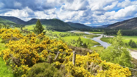 Dennis Barnes/Getty Images While English is the main language spoken in Scotland, the nation has a wide range of different accents and dialects (Credit: Dennis Barnes/Getty Images)