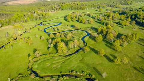 Artenex/Getty Images Soomaa, which means “land of bogs”, is located in a low-lying basin on the western slopes of the Sakala Uplands (Credit: Artenex/Getty Images)