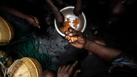 The factories turning West Africa's fish into powder