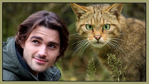 Cbbc Schedules Friday 2 April 21