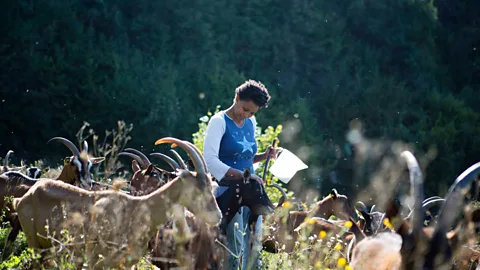 Agitu Idea Gudeta Gudeta's "Happy Goat" farm was the first new business to open in Frassilongo in 30 years (Credit: Agitu Idea Gudeta)