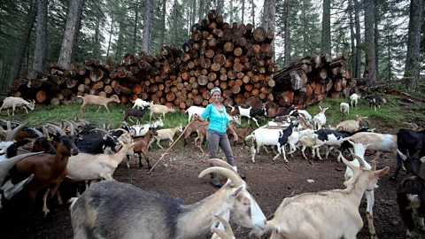 Reuters/Alamy Frassilongo's mayor said Gudeta's farm was a “breath of fresh air and the proof that everything is possible” (Credit: Reuters/Alamy)