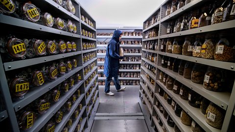 The Millennium Seed Bank (Credit Alamy)