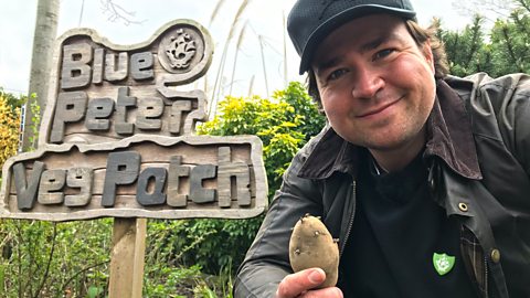 Cbbc Schedules Friday 2 April 21