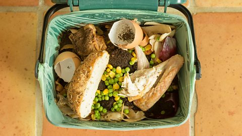 A food waste bin in a house with food waste inside