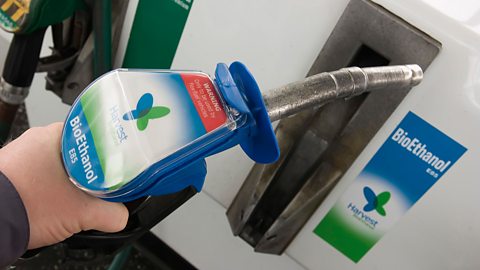 A hand at a pump, holding the biofuel option