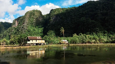 Gunawan Prasetyo/Getty Images Many Bugis live in the ruggedly mountainous and verdant province of South Sulawesi (Credit: Gunawan Prasetyo/Getty Images)