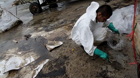 A man cleans up a beach after an oil spill