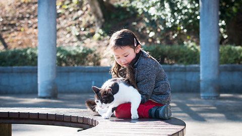 A little girl sat with her pet cat.