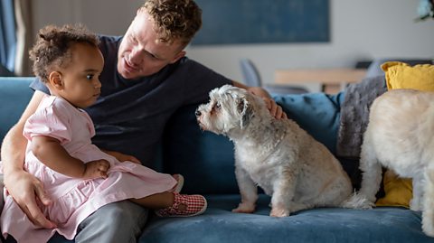 A little girl looking anxious as her dad introduces a dog.