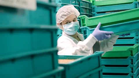 BBC In her company's facilities, Virginia Emery raises hundreds of thousands of mealworms for use in livestock feed (Credit: BBC)