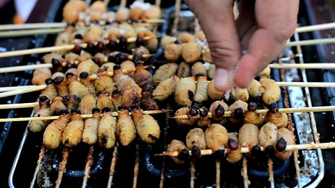 Getty Images Insects are many times more efficient to farm than livestock, requiring less land and time to produce the same quantity of food (Credit: Getty Images)