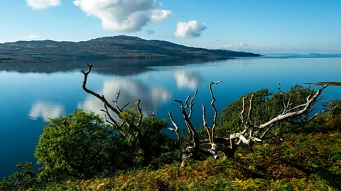 Vincent Lowe/Alamy Visitors come to kayak, swim, hike and appreciate the simple life (Credit: Vincent Lowe/Alamy)