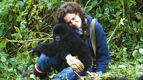 Sigourney Weaver with gorilla