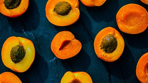 Apricots