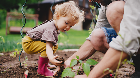 Small child with blonde hair, brown top, yellow trousers and red boots picking up soil in the garden with his dad next to him.