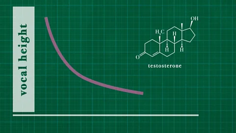 Michal Bialozej/BBC The lower a man's voice is the higher levels of testosterone they have, so vocal height provides signals about a man's biological quality (Credit: Michal Bialozej/BBC)