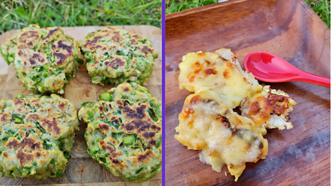 On the left hand side there is an image of four tuna and pea fritters on a brown plate sitting on grass and on the right there is an image of cauliflower rarebit on a brown plate with a red spoon.