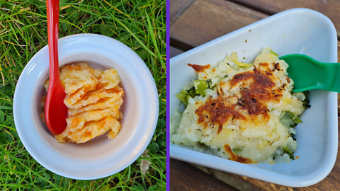 On the left is an image of carrot and parsnip mash in a white bowl with a red spoon and on the right is cauliflower cheese in a white dish with a green spoon.