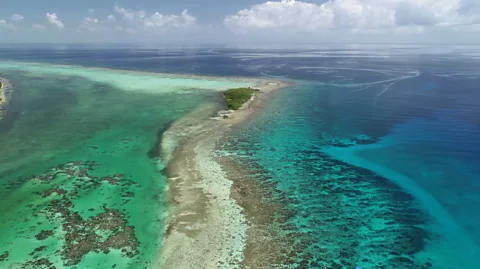 Fragments of Hope Shallow reefs around islands like those off the coast of Belize help to protect the coast from erosion, as well as supporting rich marine life (Credit: Fragments of Hope)