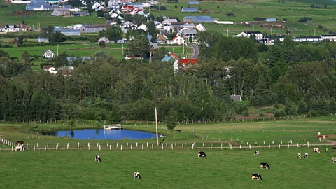 Perry Mastrovito/Getty Images Poutine’s origins lie in the rural dairy strongholds of the Centre-du-Québec region (Credit: Perry Mastrovito/Getty Images)