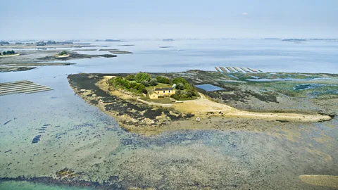 Sevrette J/UIG/Getty Images Rising sea levels sparked an exodus of coastal European communities whose settlements disappeared under the waves thousands of years ago (Credit: Sevrette J/UIG/Getty Images)