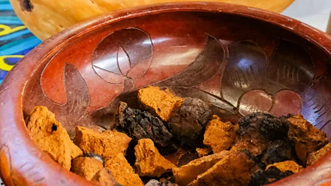 Alisha McDarris Chaga contains more than 200 vitamins, minerals and nutrients (Credit: Alisha McDarris)