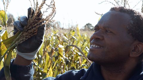 David Mwanaka - Becoming a farmer in Britain