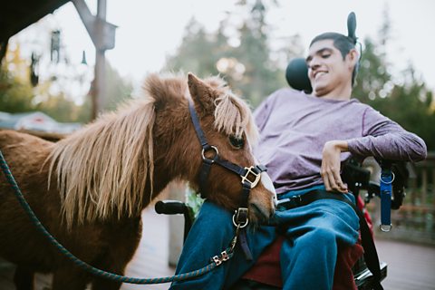 A cheerful young adult man with cerebral palsy spends time with a pony, used as a therapy animal.
