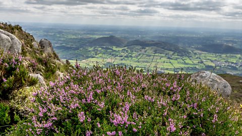 View from the top of Slieve Gullion County Armagh